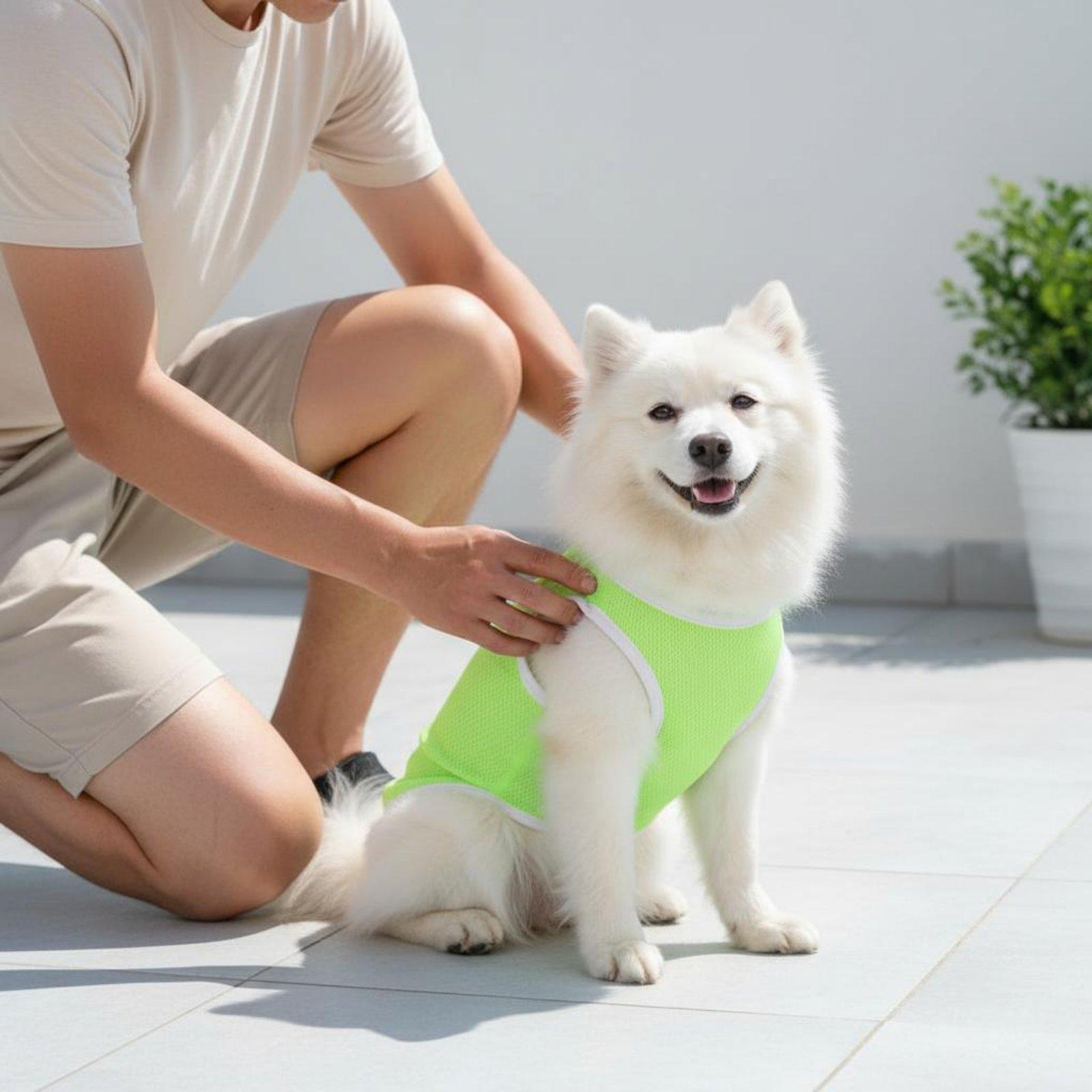 犬用ペットメッシュベスト、暑さ対策、アウトドアアドベンチャー - Outdoor Adventure Vest のレビューと価格