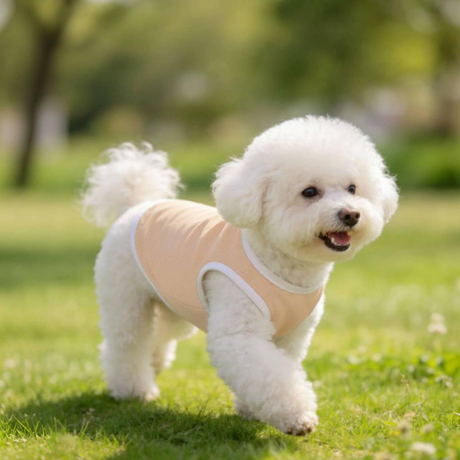 犬用ペットメッシュベスト、暑さ対策、アウトドアアドベンチャー - Outdoor Adventure Vest のレビューと価格